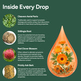 Lymphatic Drainage Drops - FREE