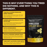 Himalayan Shilajit Gummies